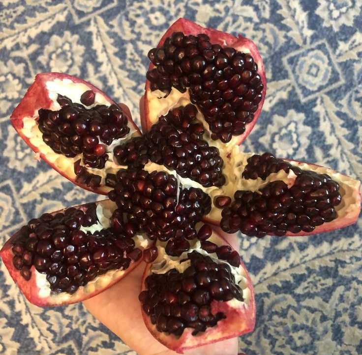 نهال انار دانه سیاه سری