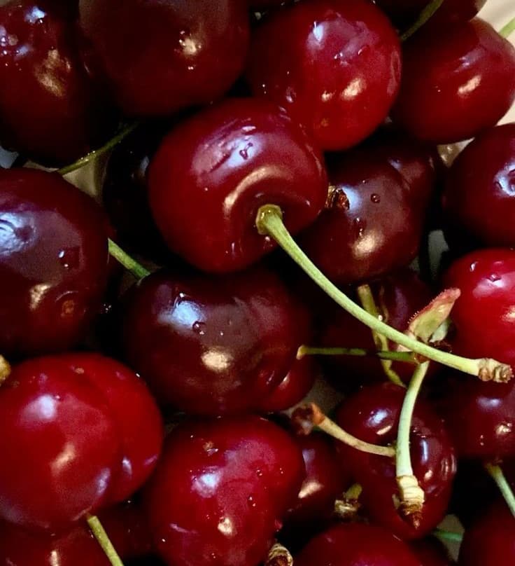 نهال گیلاس اس کی